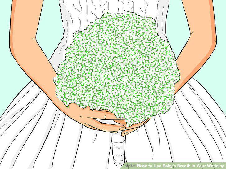 Step 8