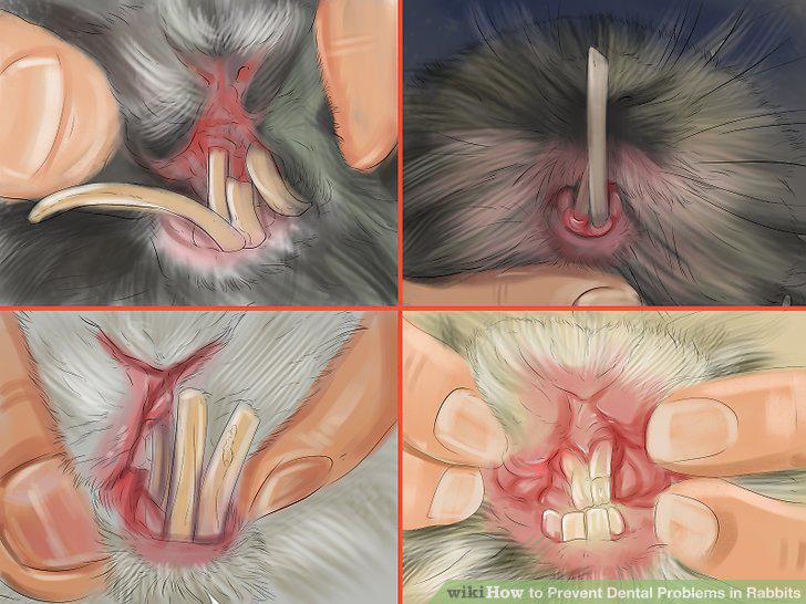 Step 9