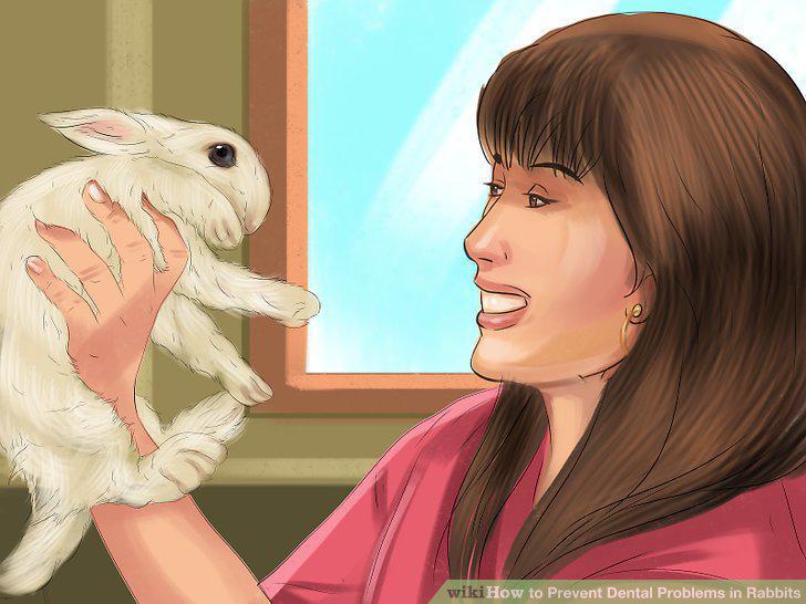 Step 10