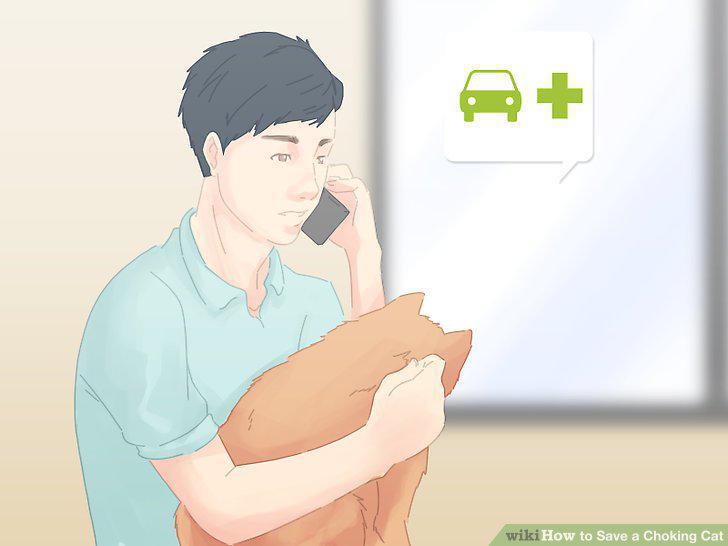 Step 11