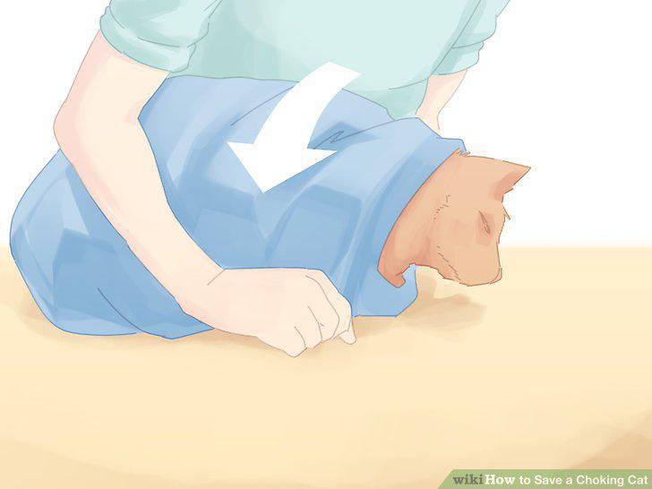 Step 7