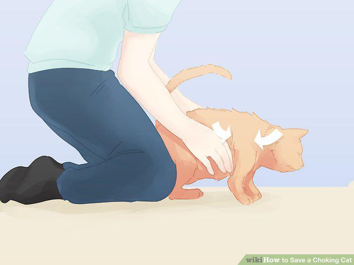 Step 9