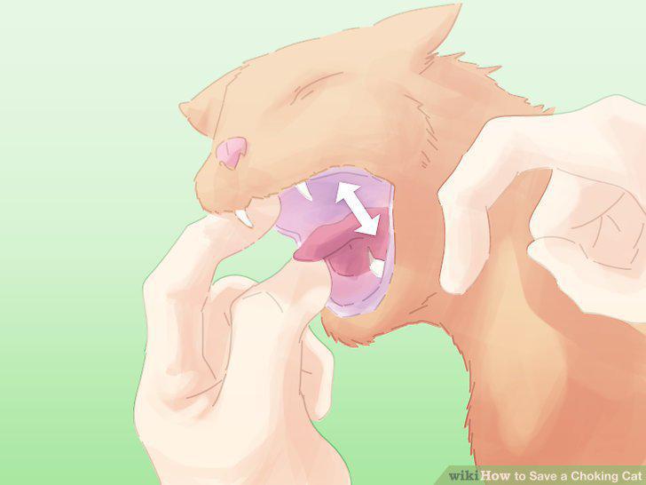 Step 10