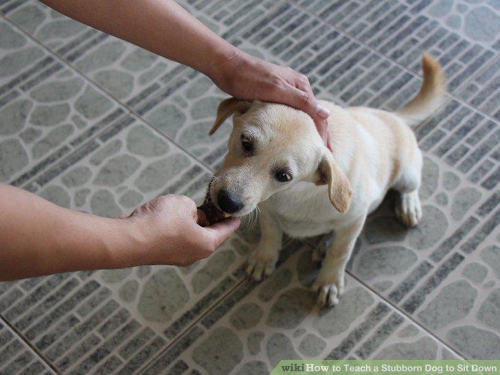 Step 8