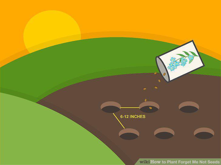 Step 4
