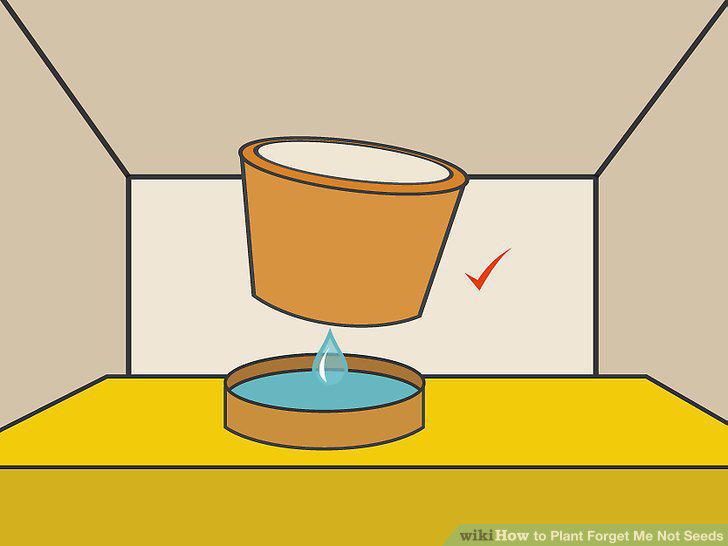 Step 6