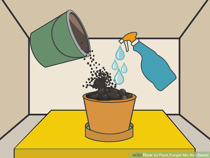 Step 7