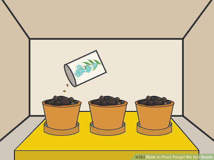 Step 8