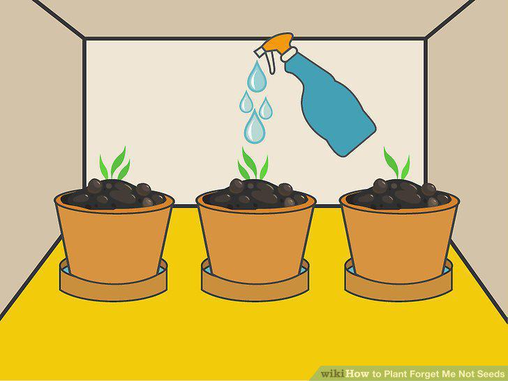 Step 10