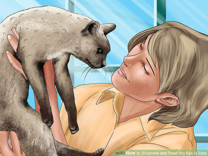 Step 12