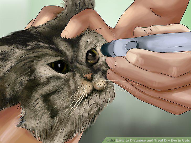 Step 5