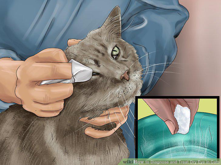 Step 9