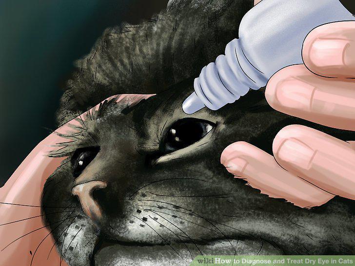 Step 10