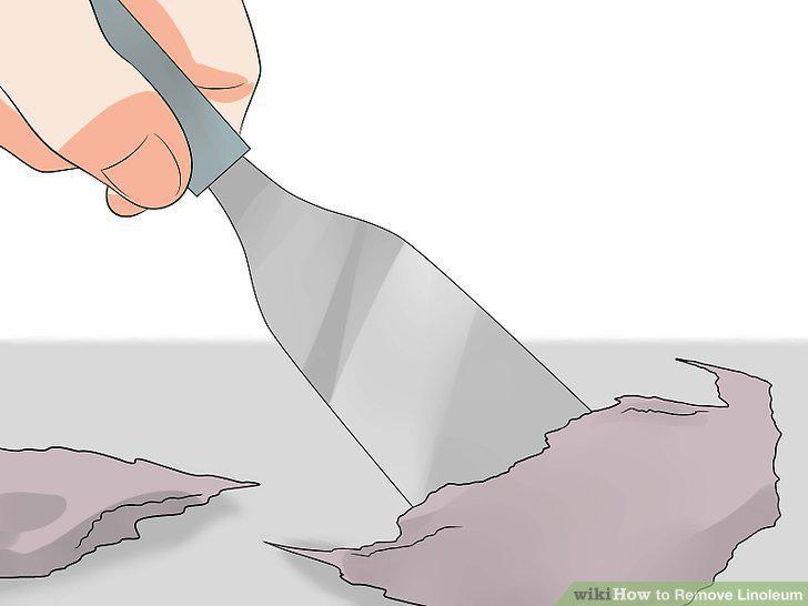 Step 12