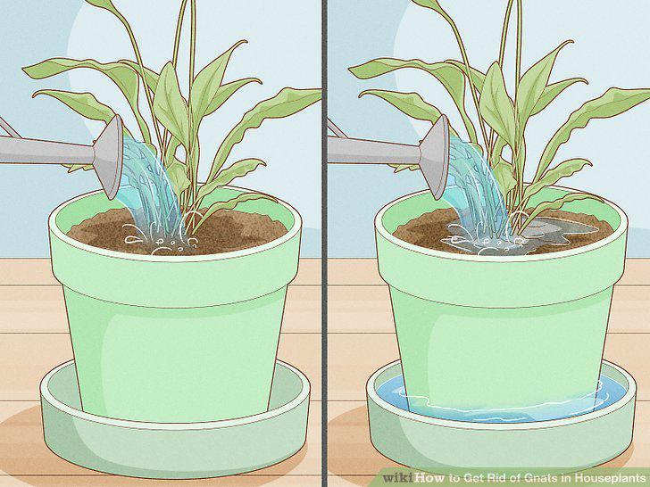 Step 11