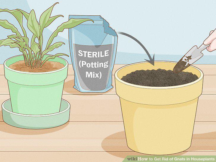 Step 15