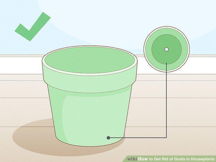 Step 10