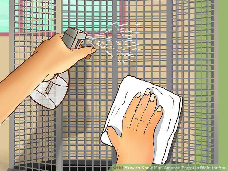 Step 15