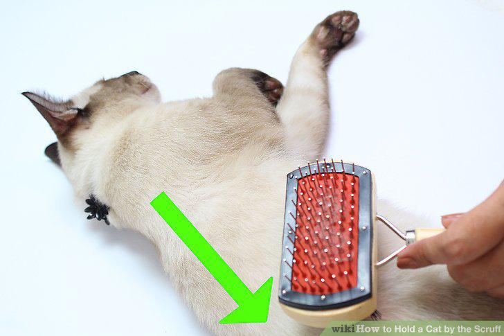 Step 13
