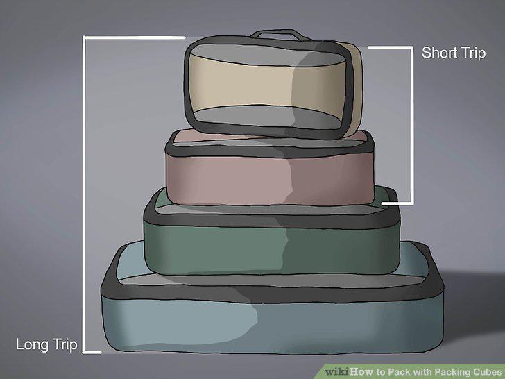 Step 12