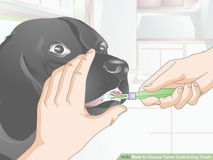 Step 5