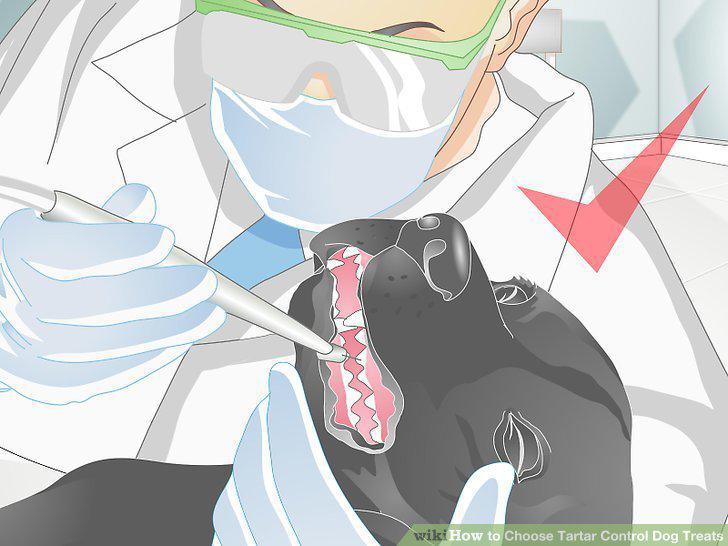 Step 7