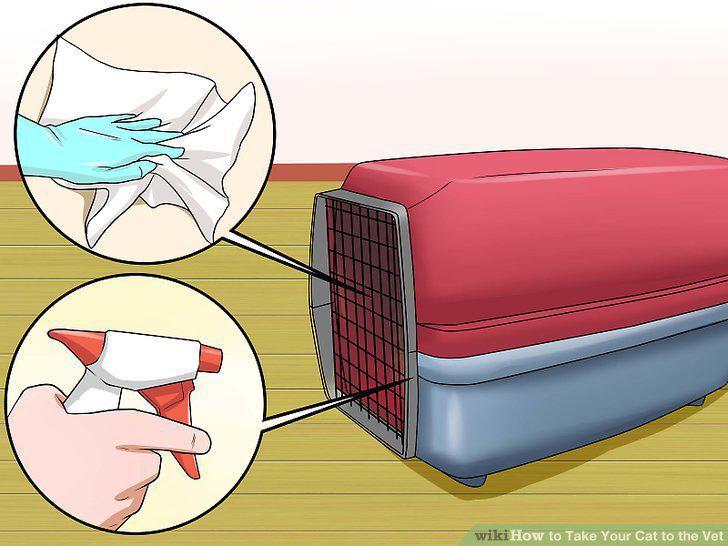 Step 11