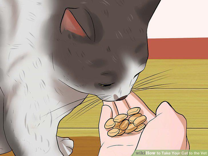 Step 12