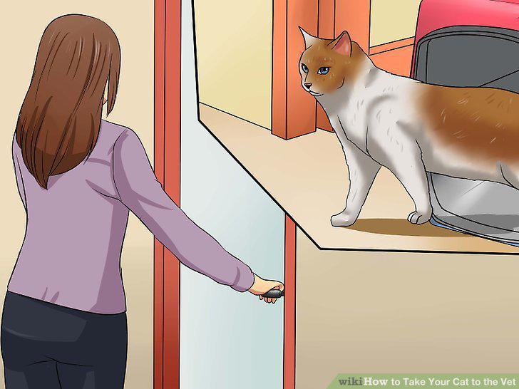 Step 14