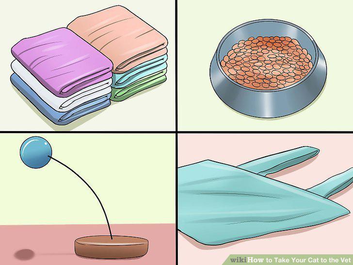 Step 7