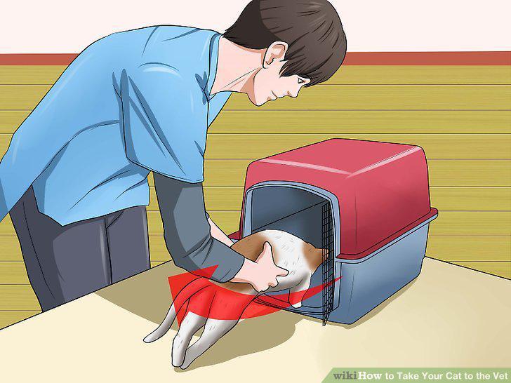 Step 10