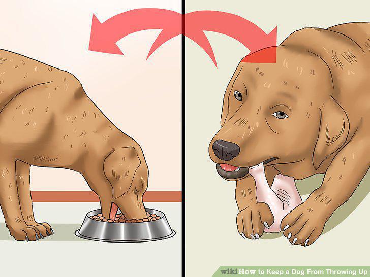 Step 11