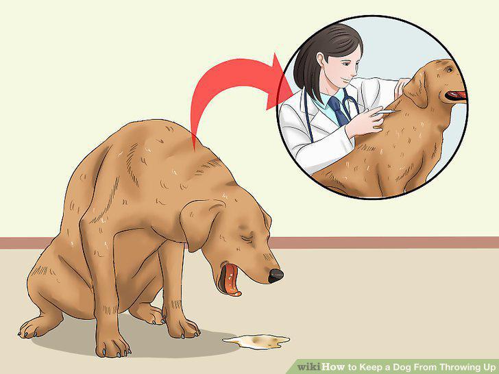 Step 12
