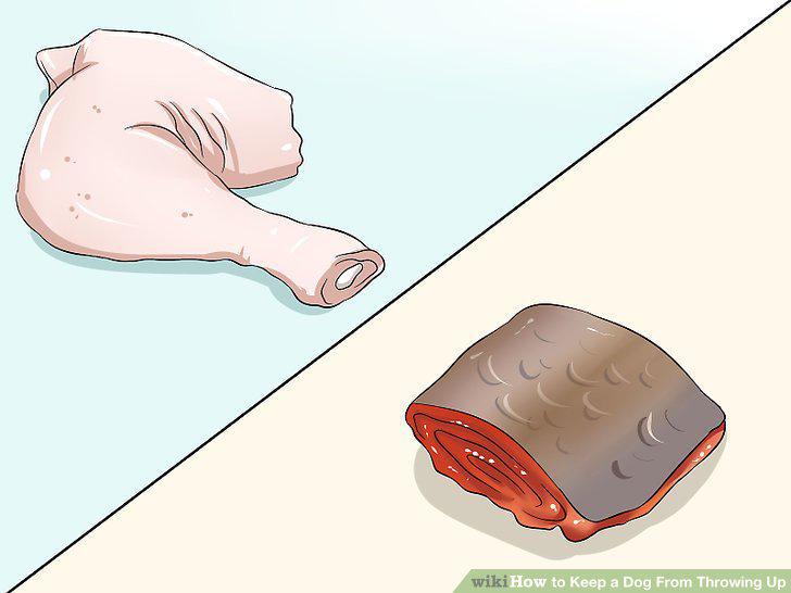 Step 10