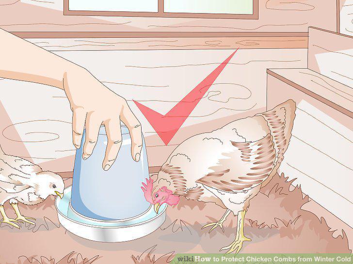Step 11