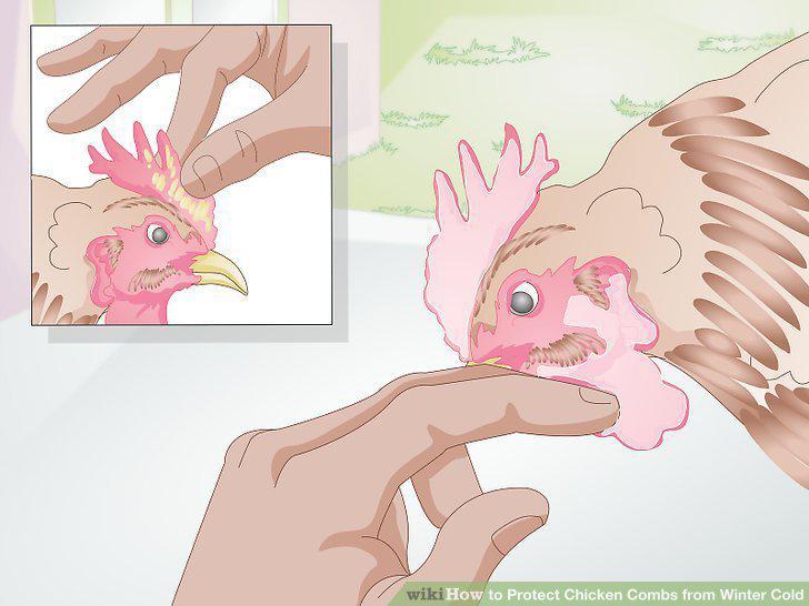 Step 4