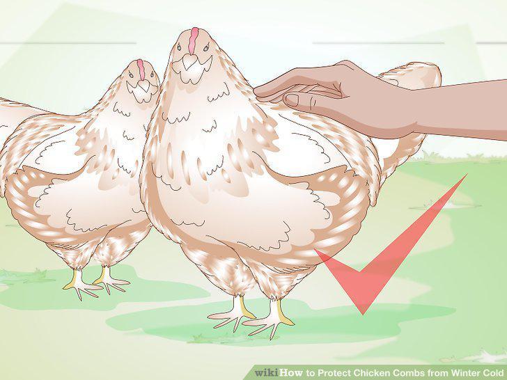 Step 5