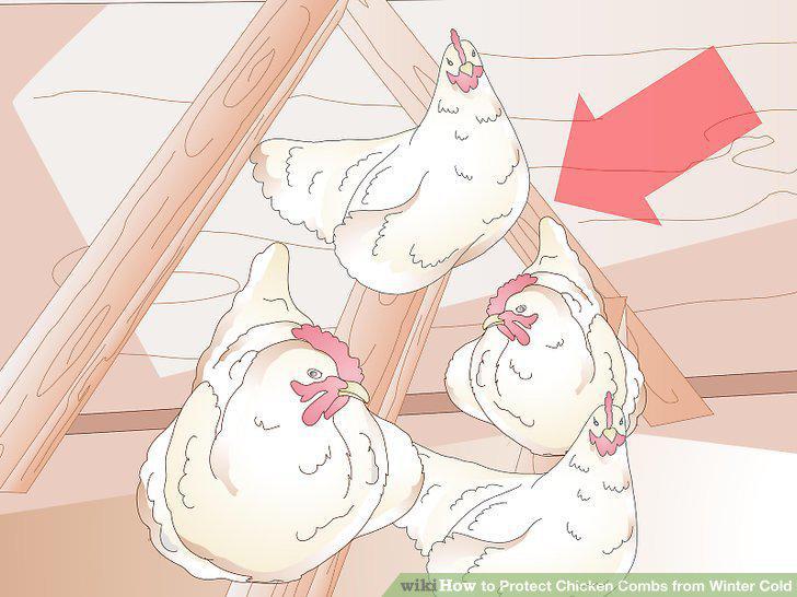 Step 7