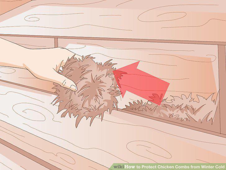 Step 9