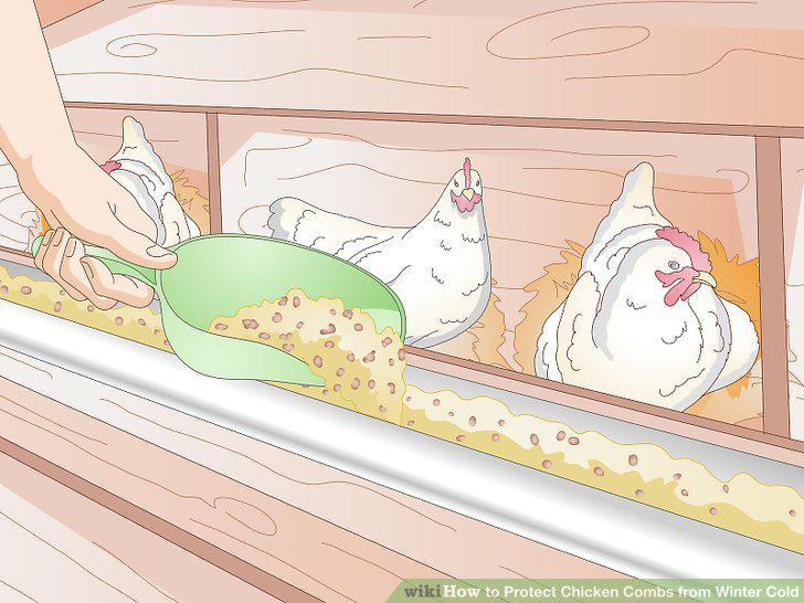 Step 10