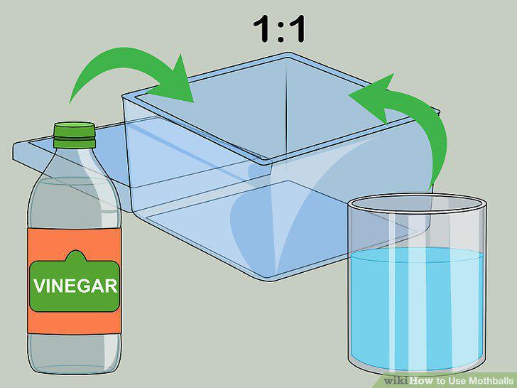 Step 5