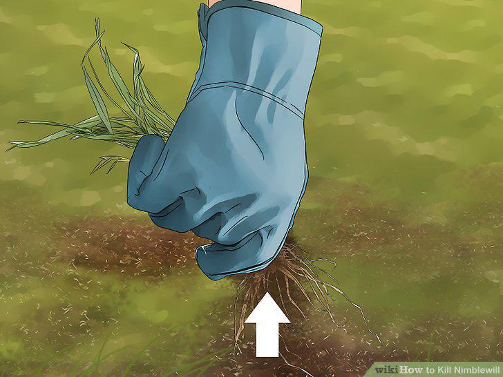 Step 7