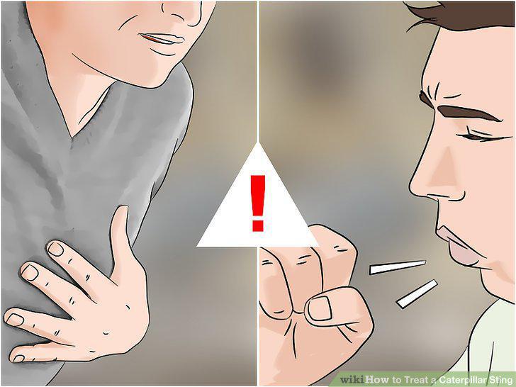 Step 8