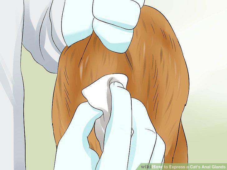 Step 5