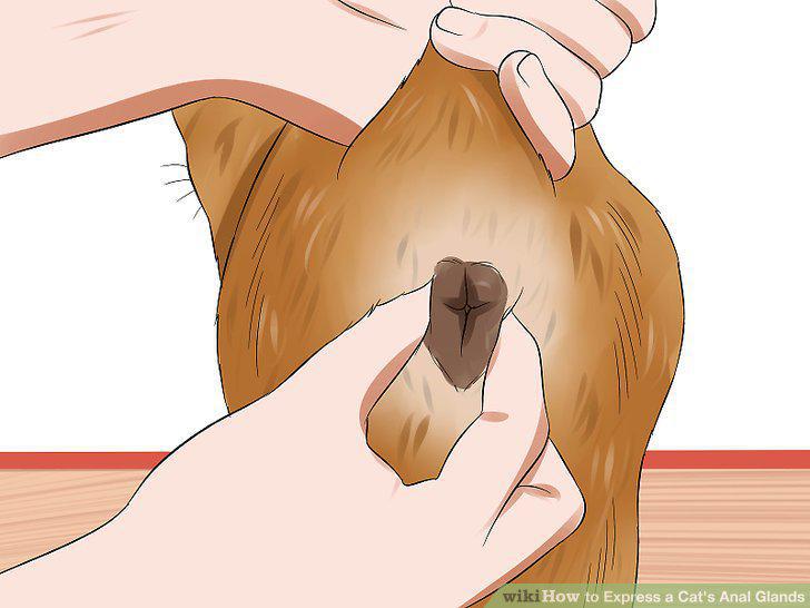 Step 6