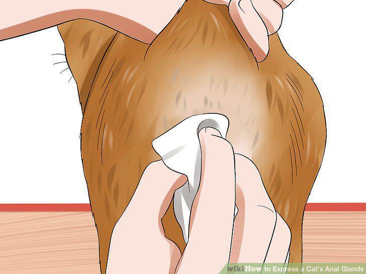 Step 7