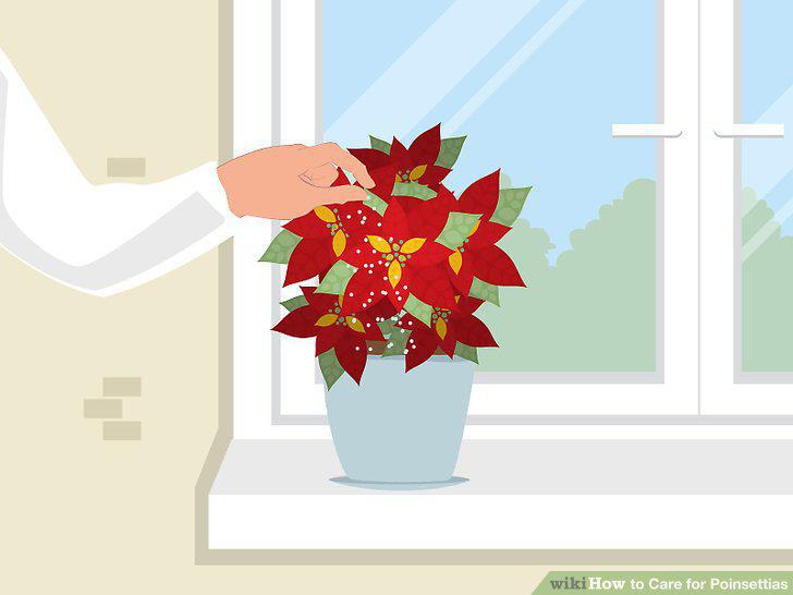 Step 10