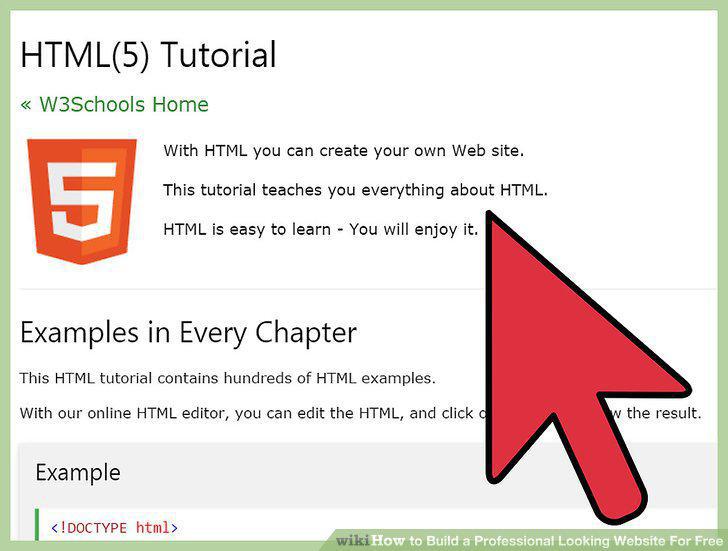 Step 15
