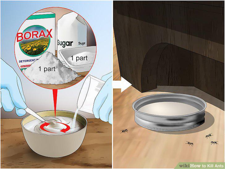Step 5