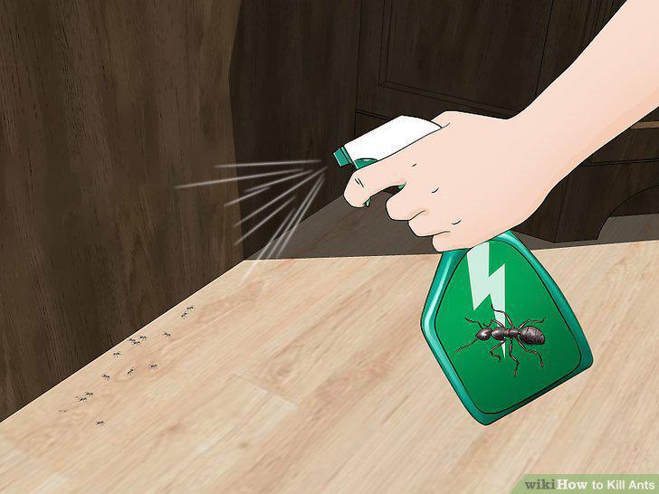 Step 9